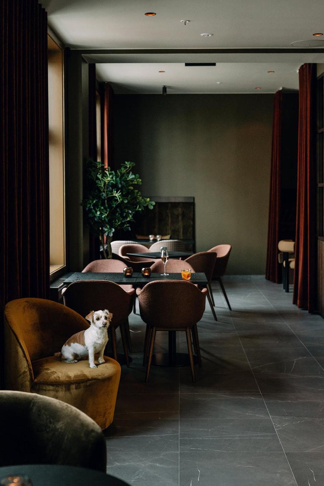 Saga Hotel Oslo, Worldhotels Crafted المظهر الخارجي الصورة